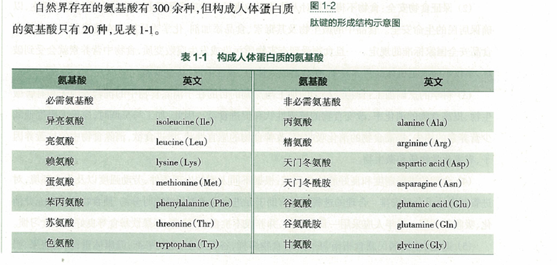 营养师:孩子不注意补充1种必需氨基酸,小心免疫低下,发育迟缓