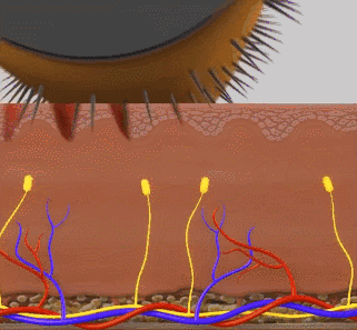 321_297 gif 动态图 动图