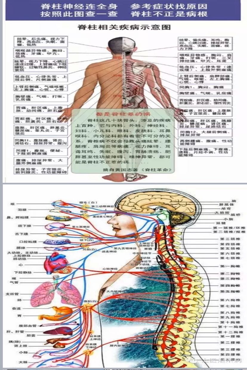 骨盆是人体整个脊柱的根基(大厦的基础),如果根基有不稳位移,各部