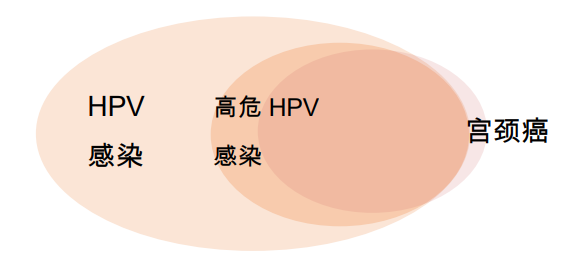 一封来自hpv病毒的"认罪书!