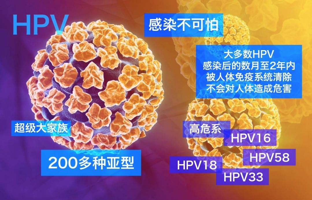 hpv主要是性接触传播一定要采取措施