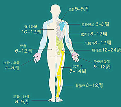 影响骨折愈合的全身因素: 有着营养不良,糖尿病,骨质疏松等基础疾病