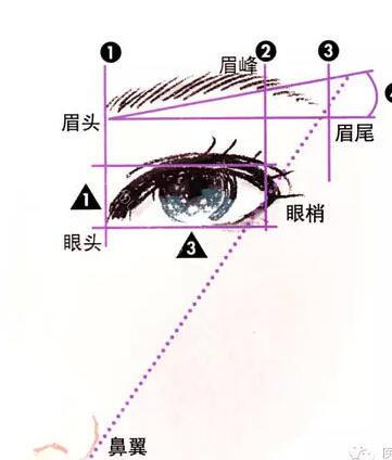 美人脸的各大黄金比例 . 看你达到了没 ?