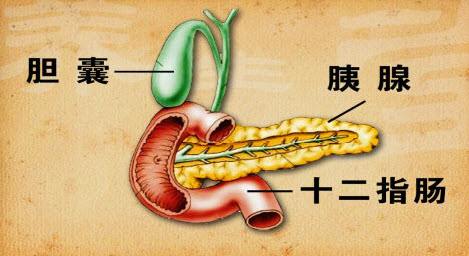 小心被误诊为胃病的胰腺癌