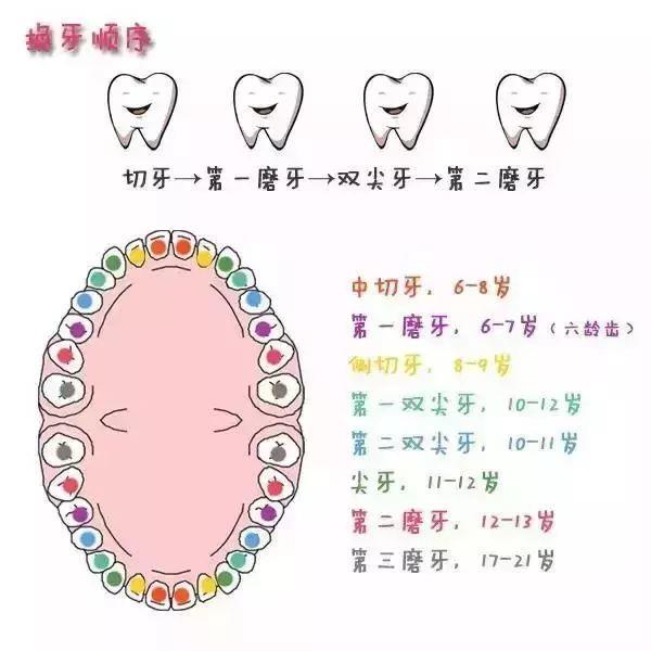 牙齿矫正有年龄限制吗?