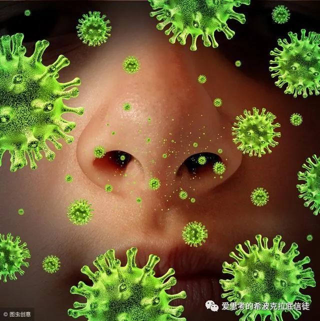 实际上也有研究支持肠道病毒(enteroviruses,新近发现的博卡病毒