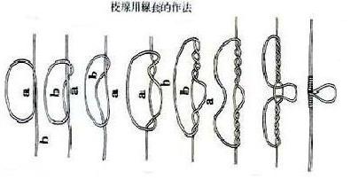可换子线的串钩线组 串钩主线上等距结若干个环,每根子线线顶端也结