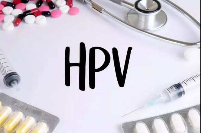 hpv病毒是否可以清除呢?