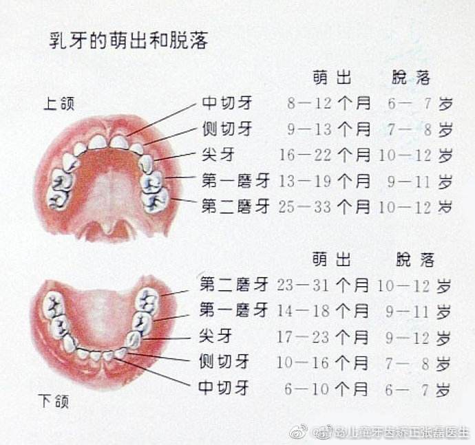 儿童什么时候做牙齿矫正最合适?