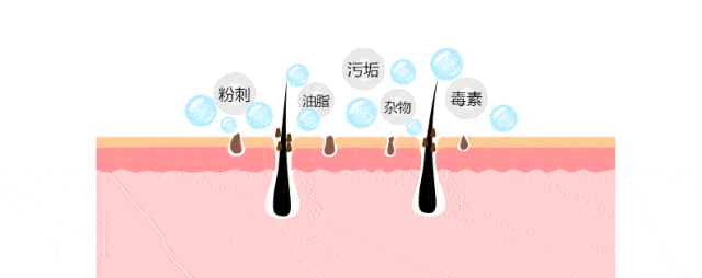 com_46174ac08a23e975238d09b41e3caeaff4fe70b016441-cwcelu_fw658