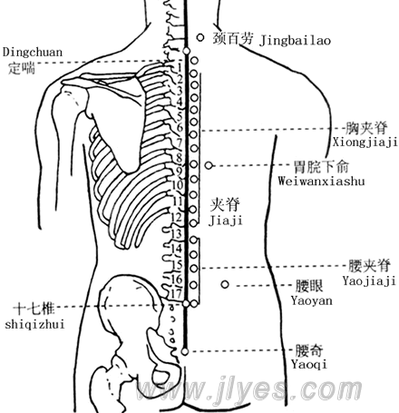 夹脊穴名源华佗 实为东晋葛洪藏