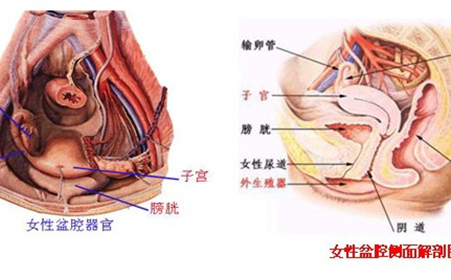 为啥妇科手术后最容易招惹附件炎