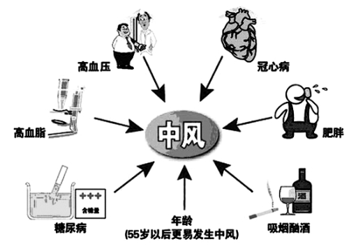 增加,吸烟有助于斑块在动脉内堆积,限制血液流向大脑,造成缺血性中风