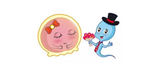 这个时间同房,精子,卵子都不浪费!北京卫人医院程亚辉
