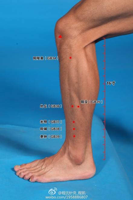 快速取穴:正坐或仰卧,在小腿内侧,膝下胫骨内侧髁下方凹陷中.