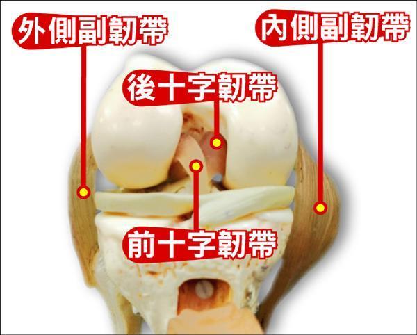 噩耗考辛斯左膝十字韧带撕裂还能恢复巅峰吗