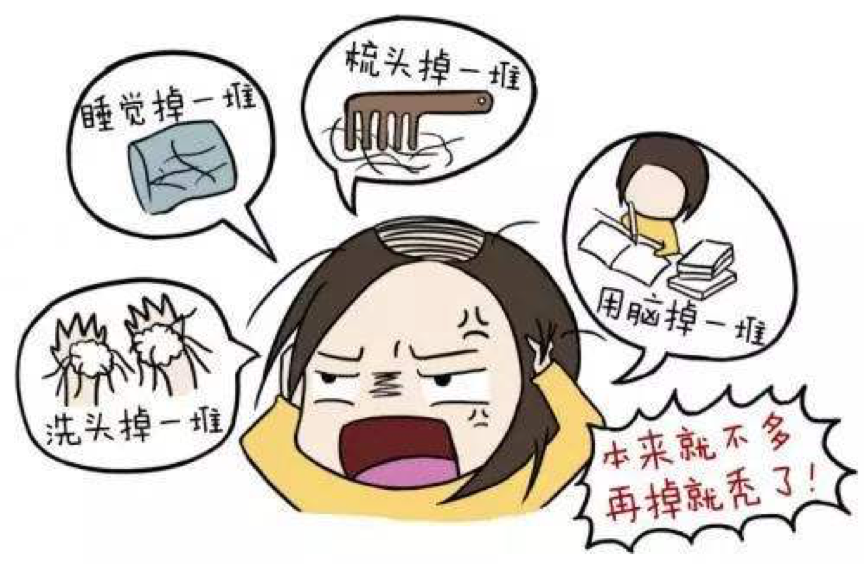 下平均每天生理脱发量是 80~ 100 根,超过此数值就有可能是病理性脱发