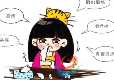预防流行性感冒抓性感痒痒图片