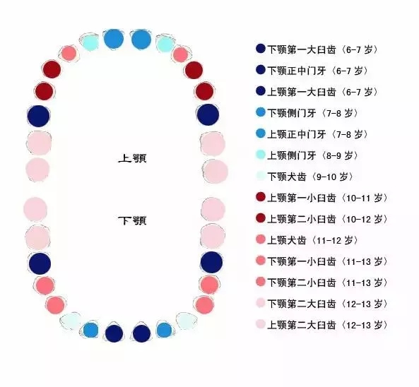 这6条孩子换牙时期的"异常,简直不可思议!