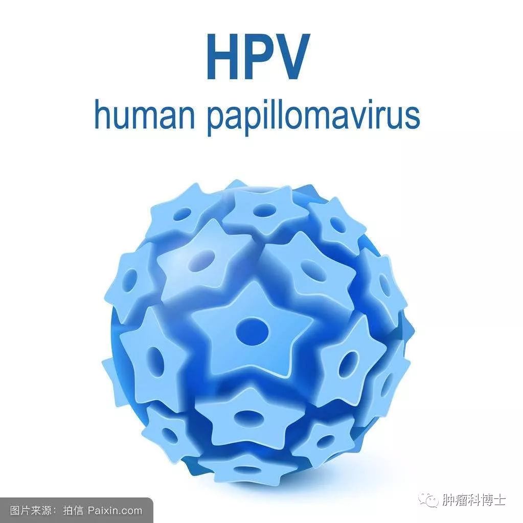 人乳瘤头病毒_人乳瘤头病毒是什么_人乳瘤头病毒是性病吗
