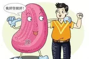 脾喜燥恶湿 新浪（移动端）