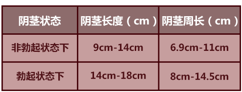 通常男性阴茎在疲软状态下小于8cm,勃起时小于12cm,就可以视为阴茎