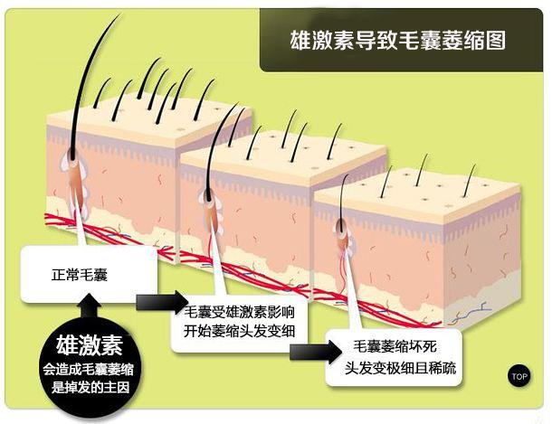 人类的头发那么刚韧,又能达到什么极限呢?