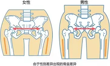 女人的耻骨下角通常在90—100度之间,而男人身体的这个角度却只有70