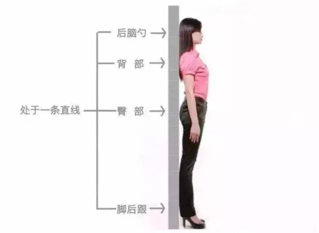 小仙女都懒,但是想想饭后站20-30分钟,不但消小肚子,人也变得有气质