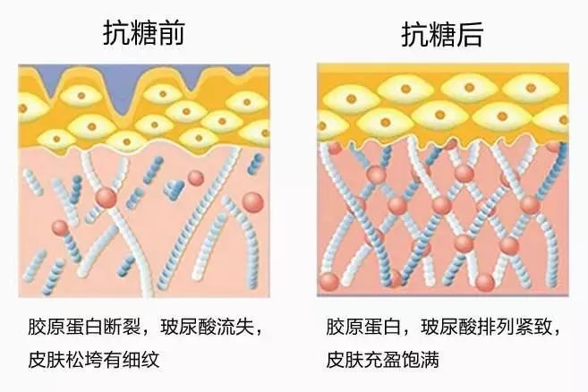 脸上流失的胶原蛋白,还救得回来吗?