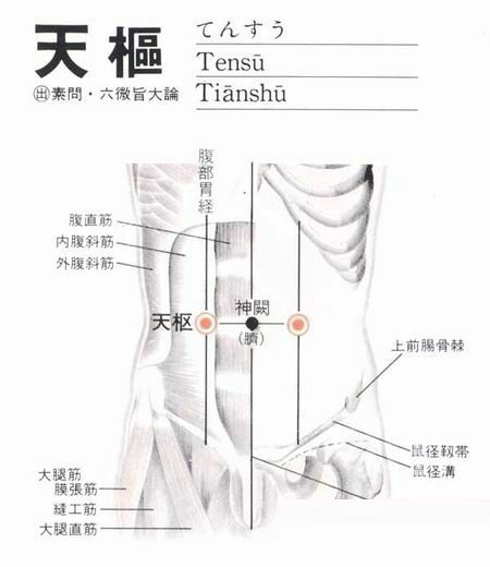 注意:上图是丰隆穴 消化不良取穴 脾俞,中脘,天枢,足三里.