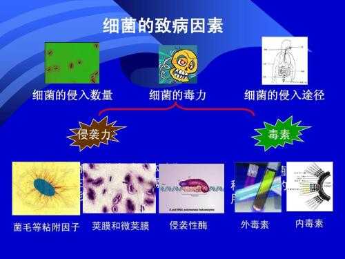 病毒为什么不像细菌那样容易被杀死?