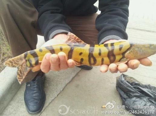 谁能告诉我,人生最快乐的事是什么?怎样才能快