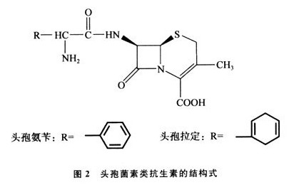 头孢菌素四代一定比三代更好吗