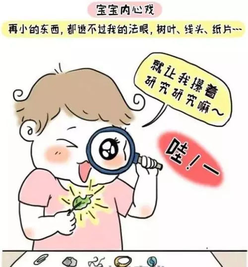 细小事物敏感期:10个月—3岁