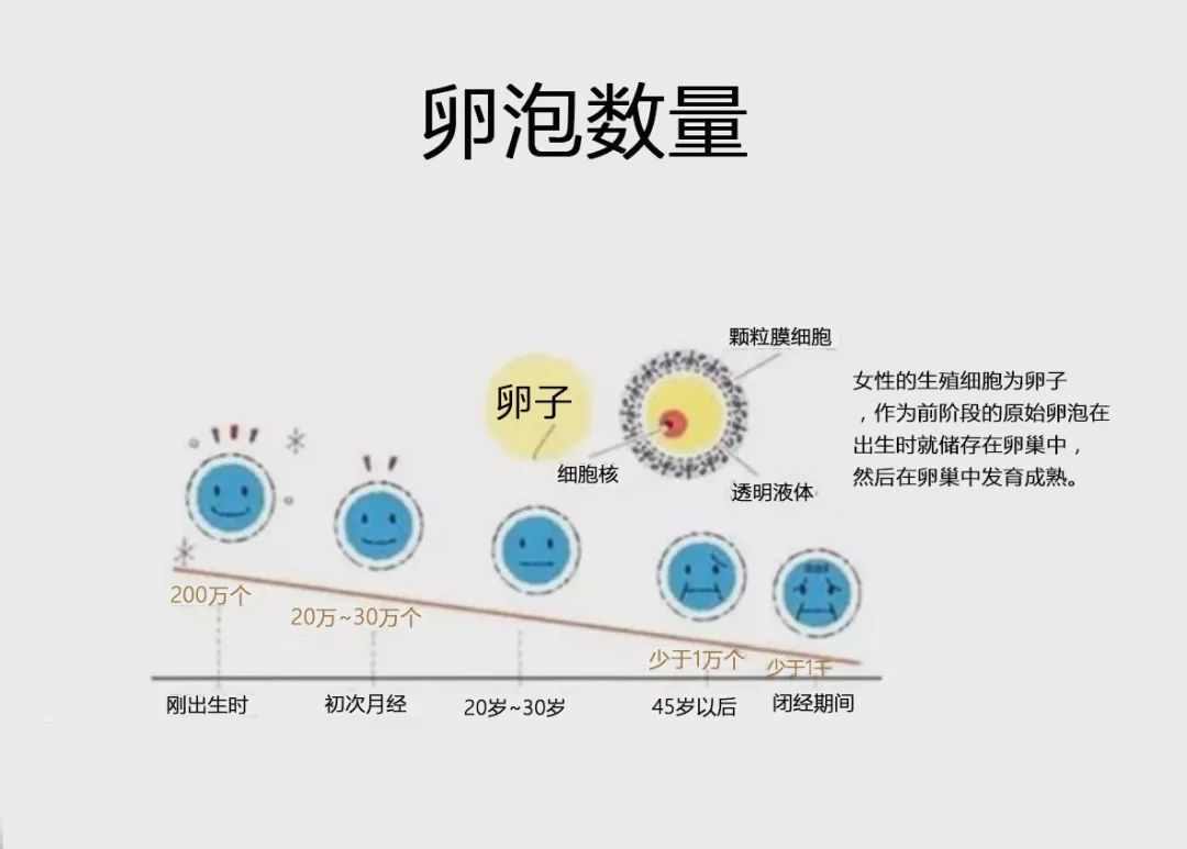 高龄,卵巢功能低下,fsh高,amh低,一定要做好这些准备