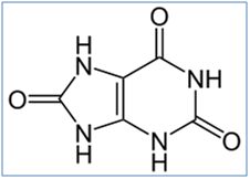 【尿酸分子式】