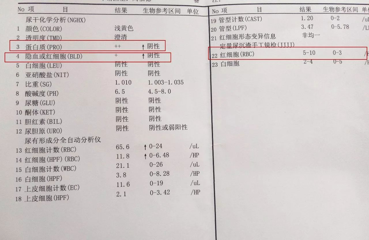 别逗了,这才是评价肾好不好的标准