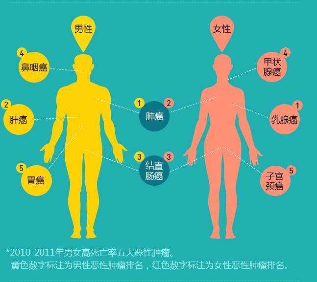 癌症病发前都会发出报警信号,这6个器官的求救信号,你了解吗?