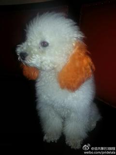 有什么手机处理图片软件可以去红眼?