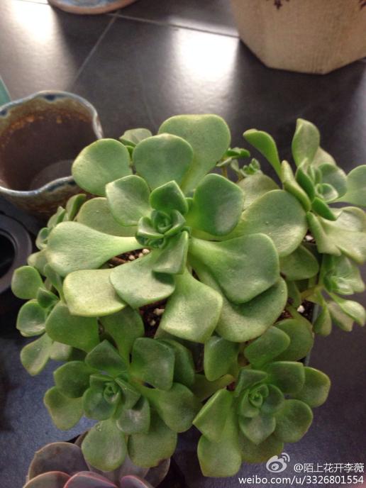 - 《小丑鱼》的英文版叫什么名字?_音乐_奇飞