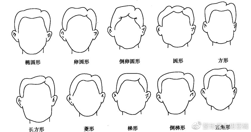 2)卵圆形脸:脸部呈现出卵圆形特点.额部稍宽