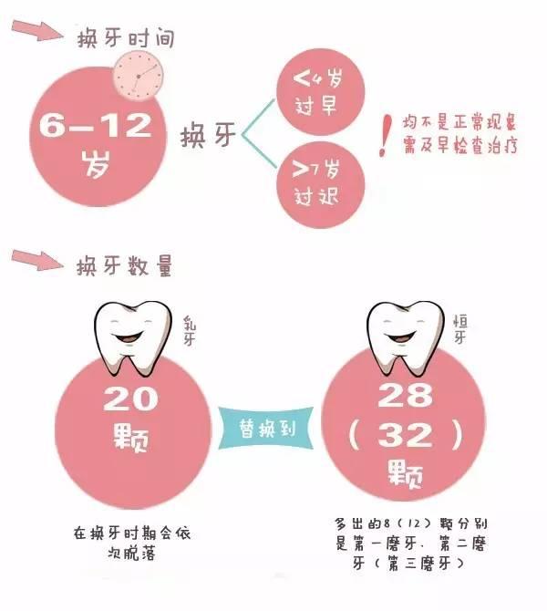 乳牙的作用 新浪（移动端）