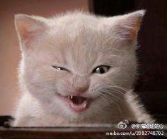 北京两天休息去哪玩好,求推荐