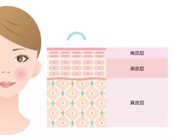 角质层厚的表现,层,角质层厚的皮肤图片_大山谷图库