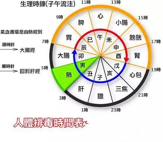 排毒时间表是谣言那我可以随心所欲熬夜了吗