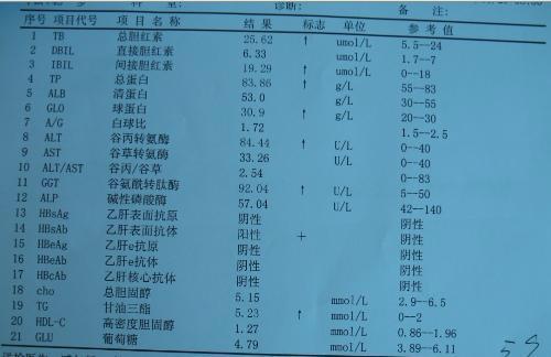 转氨酶主要包括丙氨酸氨基转移酶(谷丙转氨酶 alt),天冬氨酸氨基转移