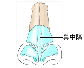 击穿关于鼻中隔的所有危言