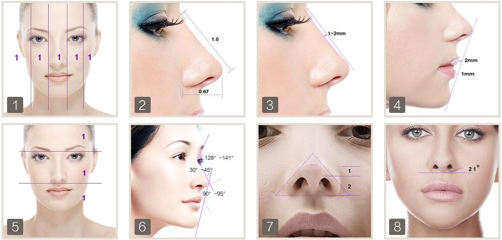 鼻额角约120,鼻唇角约90-100,鼻面角约30-33,鼻子长度约占面