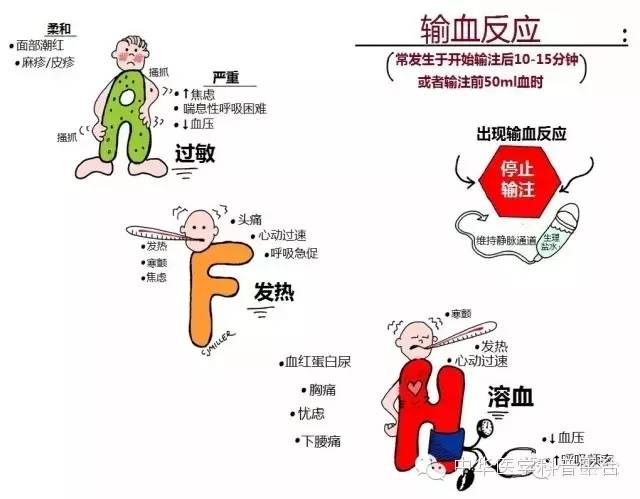 为什么会发生输血不良反应?